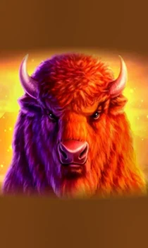 Buffalo 50